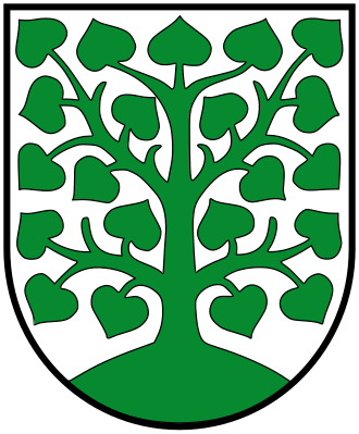 Wappen Stadt Homburg/Saar (Kreisstadt)